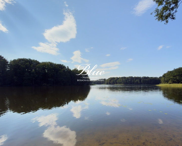 Działka Sprzedaż Borne